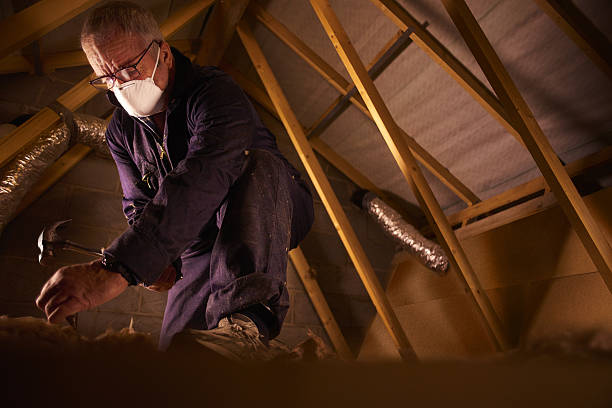 Best Geographic-Specific Insulation Services in Ridgecrest, FL